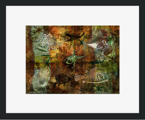 Buy a framed print from Crated © Sarah Vernon