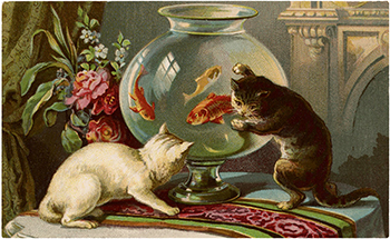 Cats-with-Goldfish-Clip-Art-GraphicsFairyblog